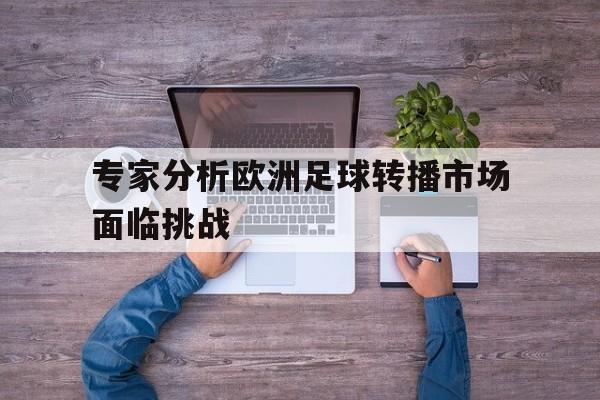 kaiyun官方体育app-专家分析欧洲足球转播市场面临挑战